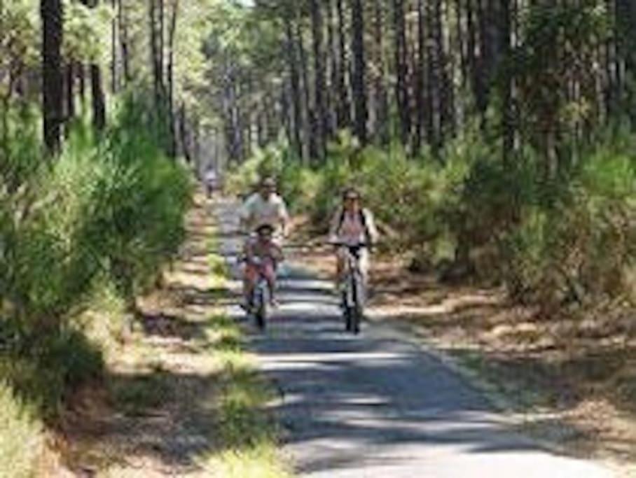 Maison De Vacances 4/5 Personnes A Leon, Landes Εξωτερικό φωτογραφία